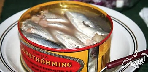 چراغ راهنماییآبی و هاتچاکلت با پنیر! چراغ راهنماییآبی و هاتچاکلت با پنیر!